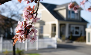 spring-home-buyers-guide-redfin-1